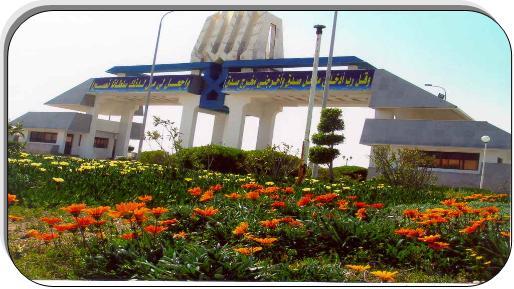 صورة