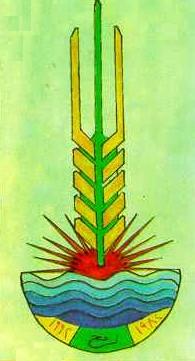 صورة