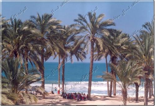 صورة
