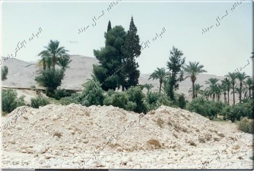 صورة