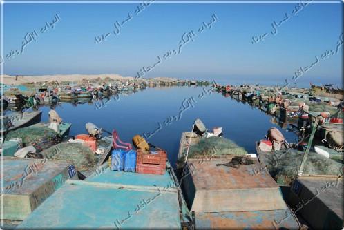 صورة
